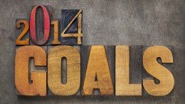 2014 goal